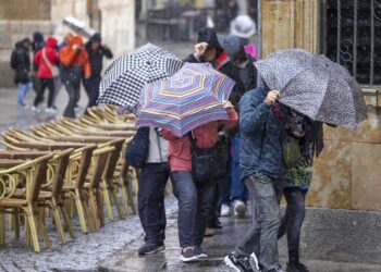Desde la Aemet destacan un superávit de precipitaciones del 10 por ciento, a cuatro meses de terminar el año hidrológico. / David Arranz