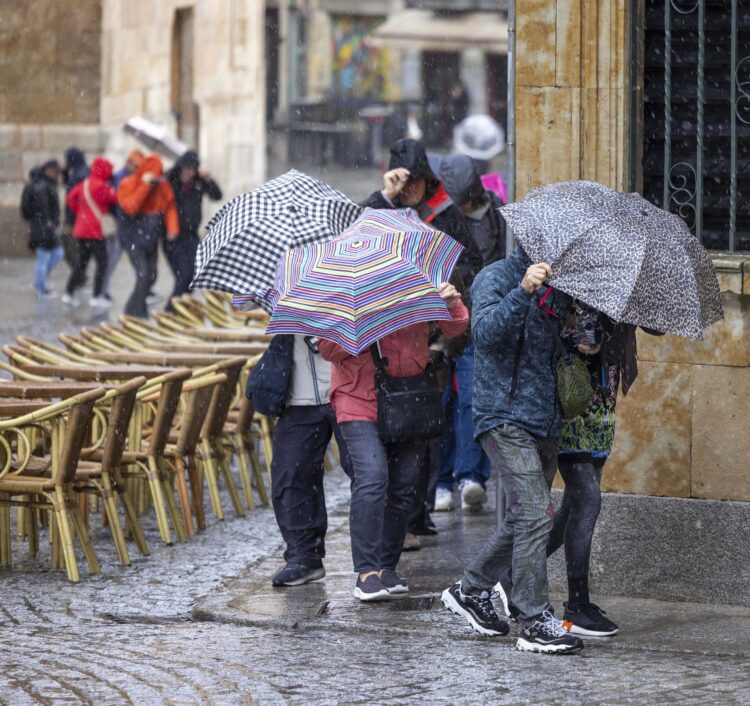 La Aemet define como húmeda y dispar la primavera de 2025 en Castilla y León 1 Desde la Aemet destacan un superávit de precipitaciones del 10 por ciento, a cuatro meses de terminar el año hidrológico. / David Arranz