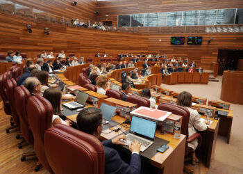 Sesión de Pleno en las Cortes de Castilla y León. / Rubén Cacho