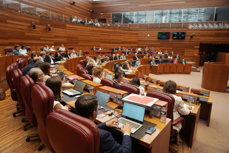 Las Cortes votan en contra del plan de control judicial del Gobierno central 1 Sesión de Pleno en las Cortes de Castilla y León. / Rubén Cacho