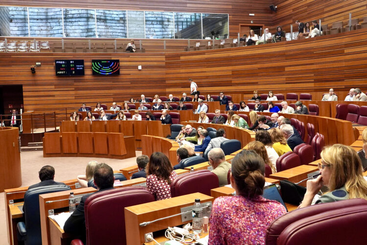 Las Cortes piden medidas para aliviar la presión fiscal del campo 1 Segunda sesión de Pleno en las Cortes de Castilla y León. / Miriam Chacón