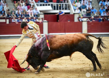 Alejandro Peñaranda, con el toro de la confirmación de alternativa. / PLAZA 1