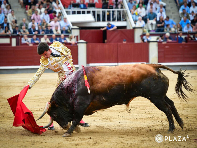 Alejandro Peñaranda, con el toro de la confirmación de alternativa. / PLAZA 1