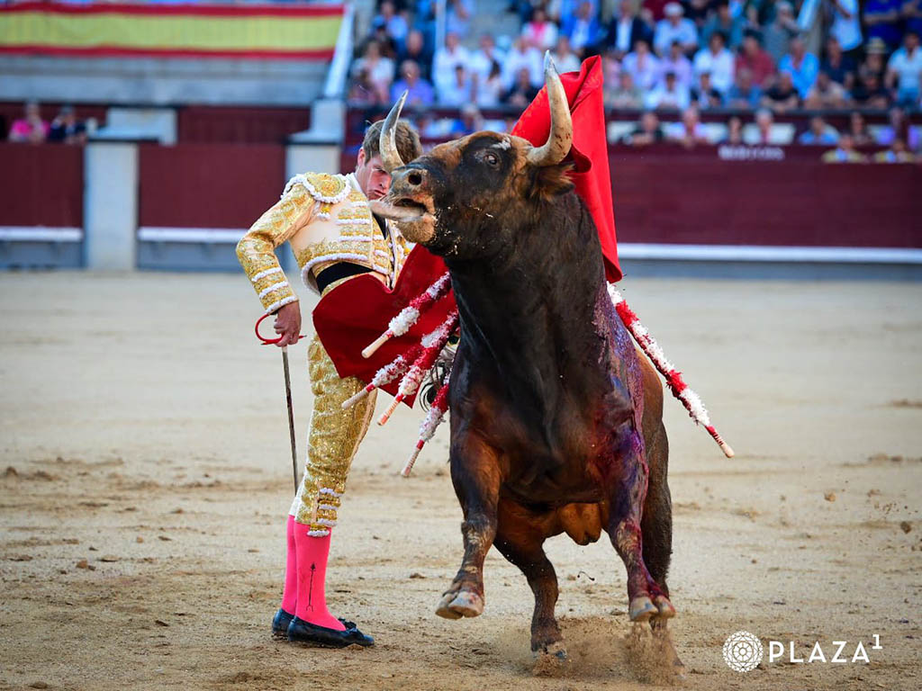 Borja Jiménez y 'Vid' salvan un 'déjà vu' 2 Borja Jimenez