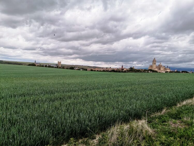 Campos labrados de Segovia.