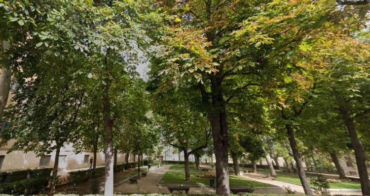 C’s reclama la limpieza de los espacios verdes 1 Parque junto al antiguo hospital Policlínico.