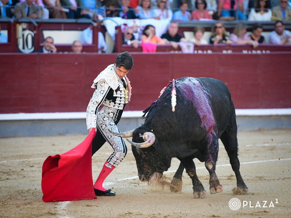 Borja Jiménez y 'Vid' salvan un 'déjà vu' 3 Sebastián Castella, con el primer toro de la tarde de Jandilla. / PLAZA 1