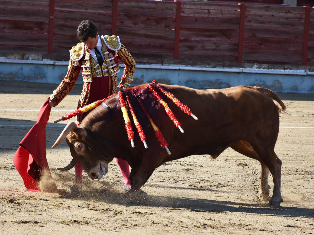 El momento de Daniel Luque: “Me preocupa mantener el nivel cada tarde” 2 Daniel Luque, toreando en Segovia en junio de 2022 cuando cortó cuatro orejas y salió en hombros. / A.M.