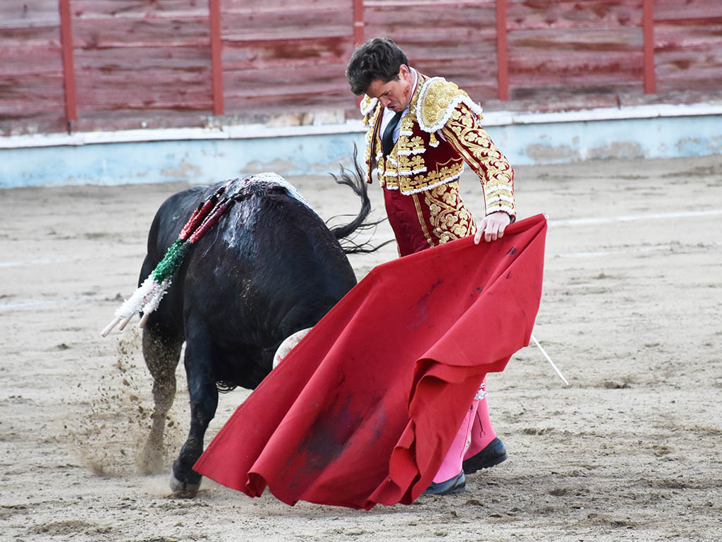 El momento de Daniel Luque: “Me preocupa mantener el nivel cada tarde” 3 Natural de Daniel Luque a un toro de la ganadería de José Luis Pereda en Segovia (2022). / A.M.