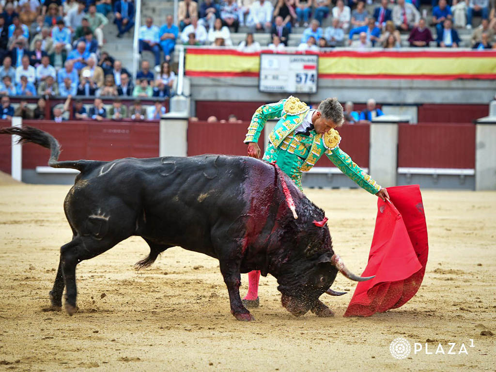 Natural largo de Escribano. / PLAZA 1