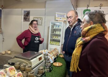 Feria del Ángel en Fuentepelayo / DIPUTACIÓN