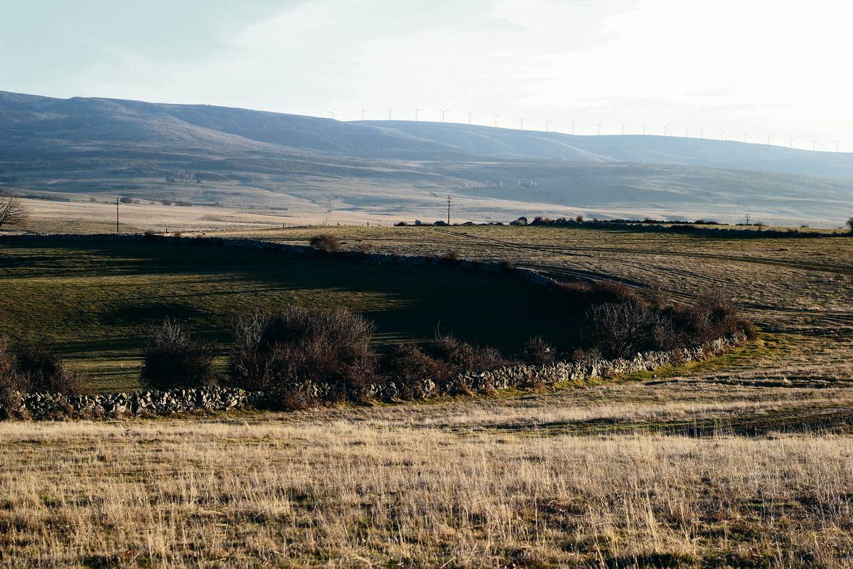 Tras las paredes de piedra seca: ecologías históricas de la Vera de la Sierra 2 La pared de piedra en seco que compone la Cerca del Portillo, en El Espinar, separa los pastizales abiertos de la Cañada Real Soriana Occidental y del Campo Azálvaro de los pastos comunales integrados en la actualidad en el M.U.P. nº140.
