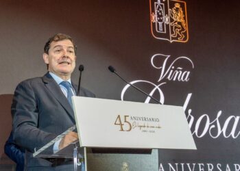 Alfonso Fernández Mañueco durante el acto. / ICAL