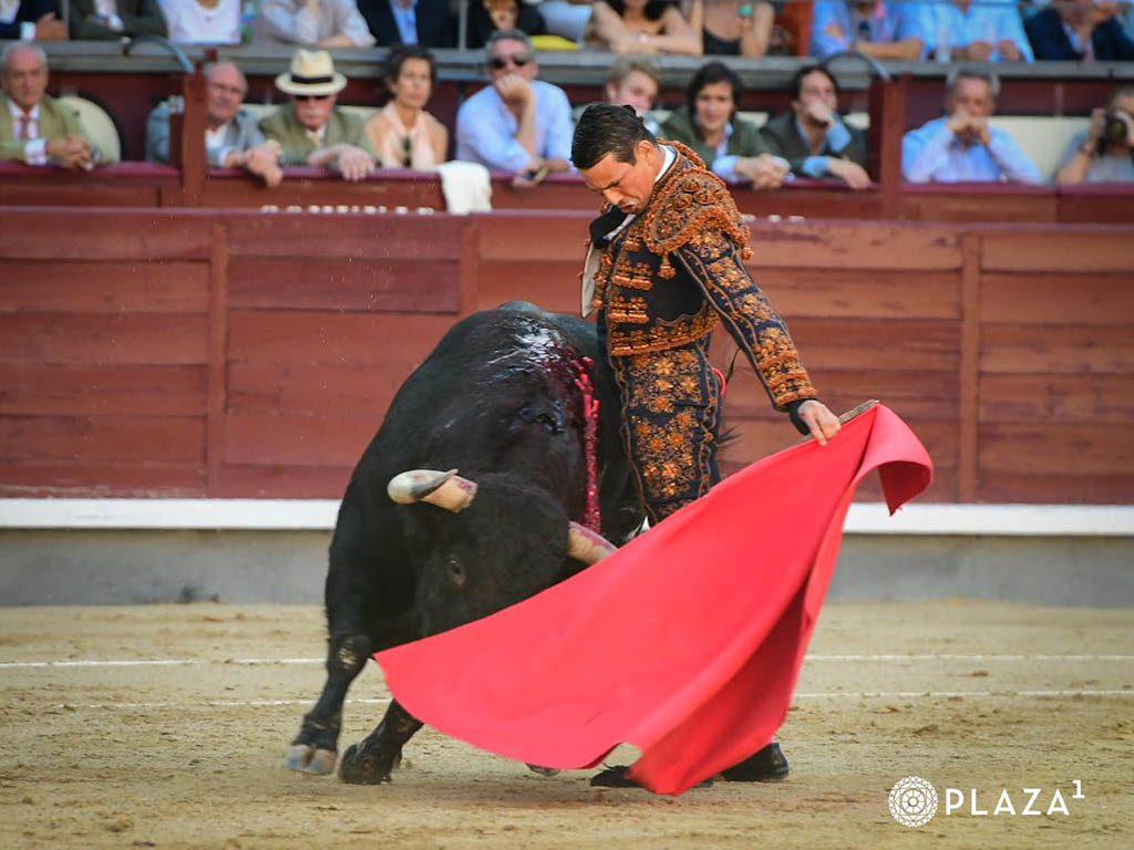 Borja Jiménez y 'Vid' salvan un 'déjà vu' 4 Natural de José María Manzanares. / PLAZA 1
