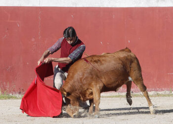 El torero extremeño Miguel Ángel Perera durante un tentadero. / MIGUEL LÓPEZ