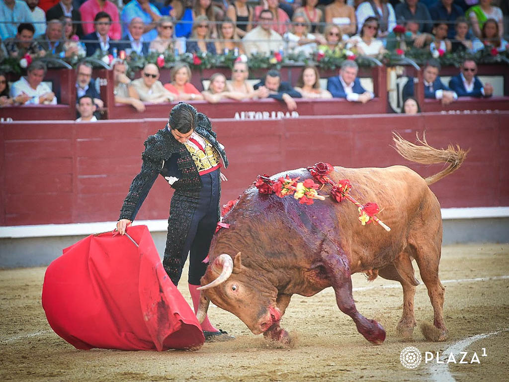 La suerte de vivir en la época de Morante 2 Morante de la Puebla, con el primer toro de Juan Pedro Domecq. / PLAZA 1