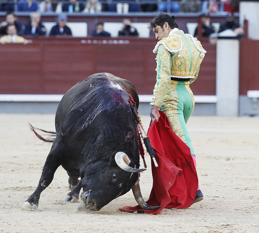 Perera: "La ilusión es el motor para seguir año tras año al más alto nivel" 2 Detalle por bajo de Miguel Ángel Perera en Madrid, durante la pasada Feria de San Isidro. / MIGUEL LÓPEZ