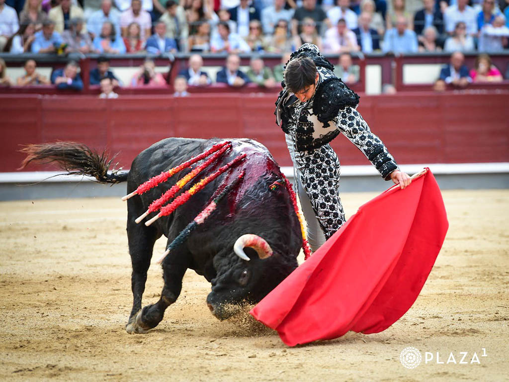Miguel Ángel Perera, con el primer toro de El Parralejo. / PLAZA 1