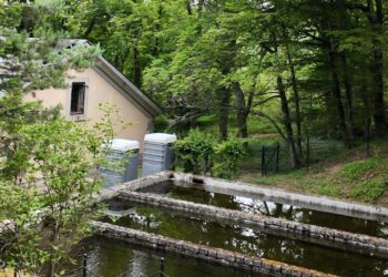 Piscinas de la piscifactoría de La Granja / PATRIMONIO NACIONAL