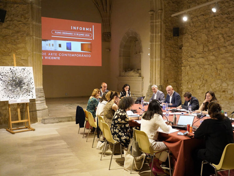 Pleno del Museo 'Esteban Vicente'. / DIPUTACIÓN