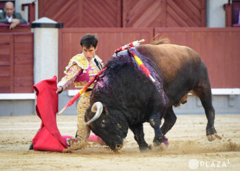 Samuel Navalón, de rodillas, con un toro de Conde de Mayalde. / PLAZA 1