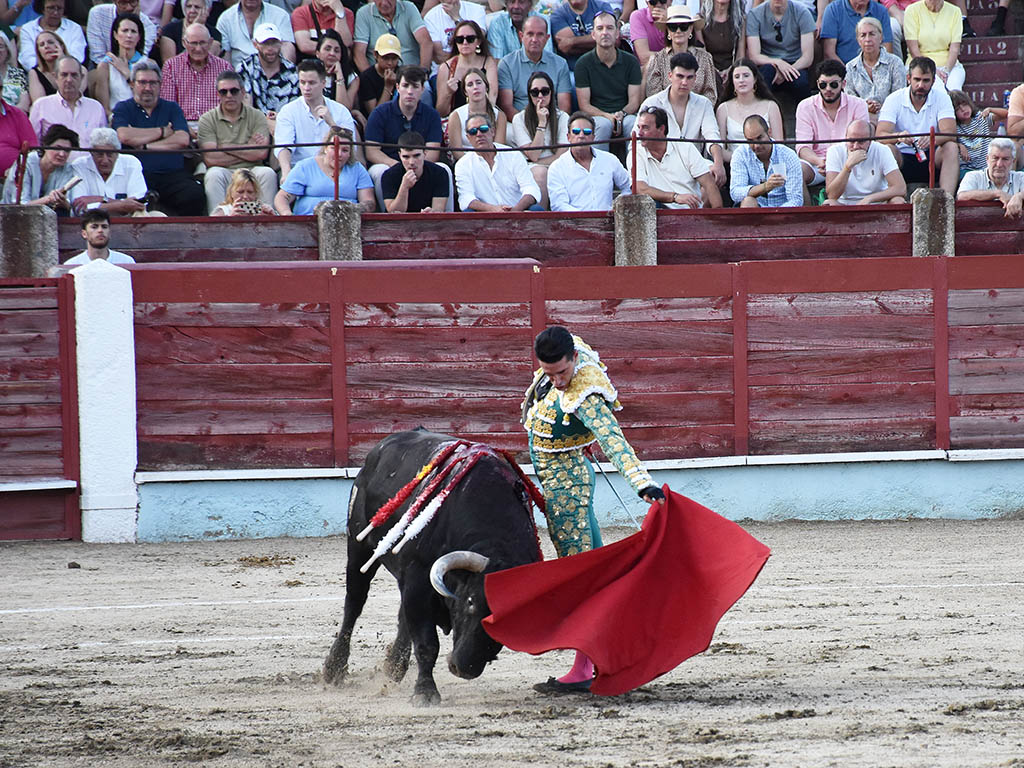 Triple Puerta Grande en Segovia como reminiscencia a Manolo Lozano 3 Talavante, al natural. / A.M.