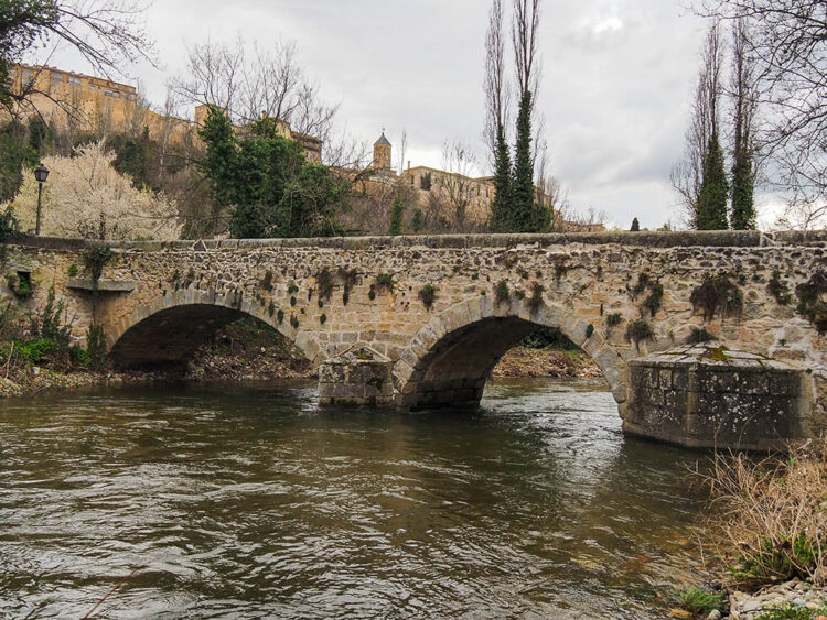 Río Eresma a su paso por La Alameda del Parral. / HÉCTOR CRIADO