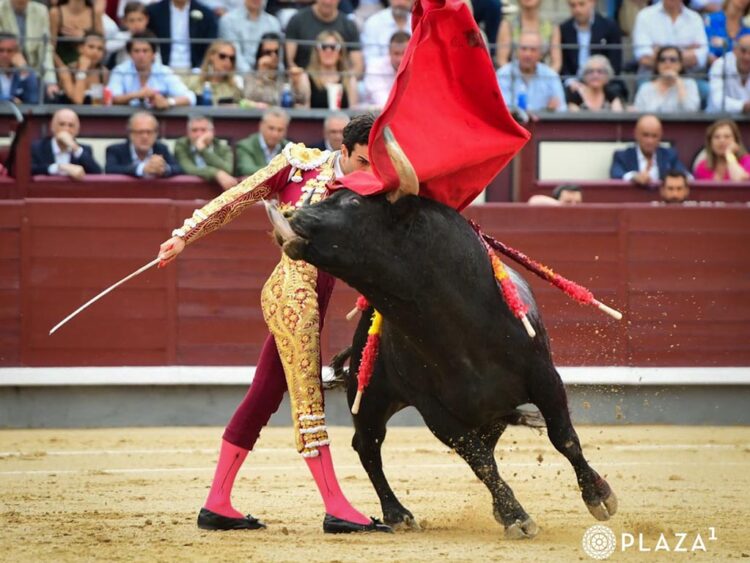 Las Ventas, nuevo intercambiador de autobuses 1 Pase de pecho de Tomás Rufo. / PLAZA 1