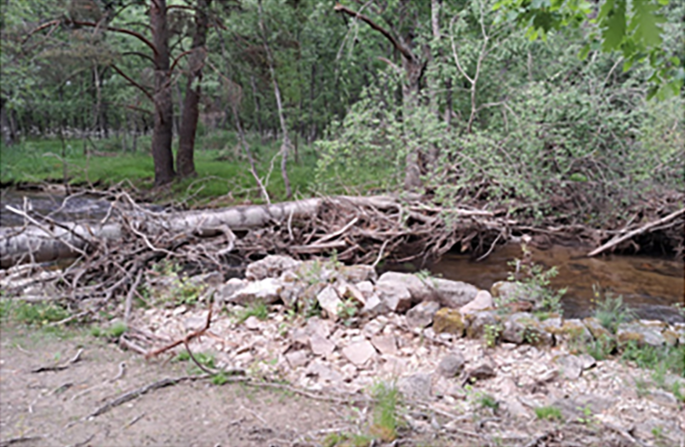 Fig.2 Vista de una presa de origen natural realizada por la inacción del hombre.