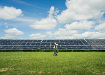 Planta fotovoltaica de Iberdrola en Castilla y León.