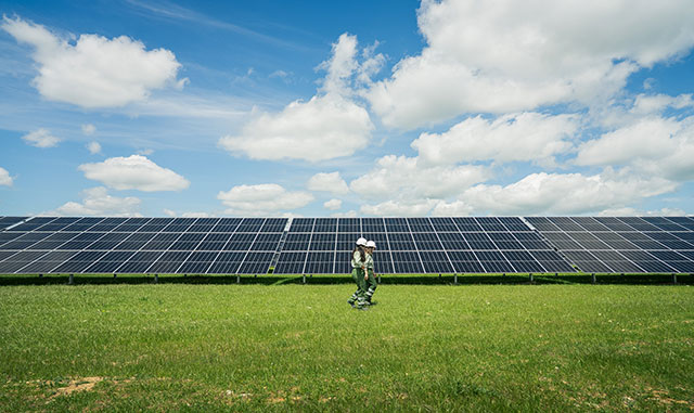 Más digitales y sostenibles ante los retos del siglo XXI 1 Planta fotovoltaica de Iberdrola en Castilla y León.