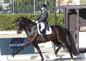 Borja Carrascosa, con ‘Frizzantino 28’, durante un instante de la cita./FHCYL