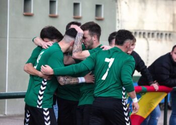 Los jugadores de la UD El Espinar celebran un gol en el curso pasado./UD EL ESPINAR