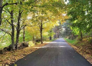 Carretera forestal El Espinar-San Rafael