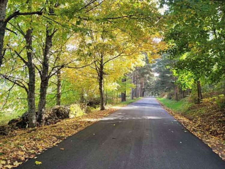 Carretera forestal El Espinar-San Rafael