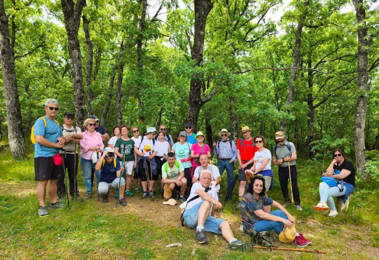 Excursionistas de la Asociación ‘Taller Cultural de Fuentepelayo’ participan en 'Un paseo por las nubes' 1 Grupo de senderistas del ‘Taller Cultural de Fuentepelayo’ en la ruta / JUAN CRUZ