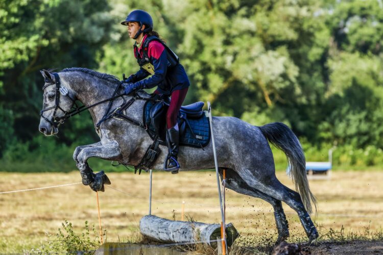 Doble oro para Iria Vázquez en el Campeonato de ponis 1 Iria Váquez durante un ejercicio./FHCYL