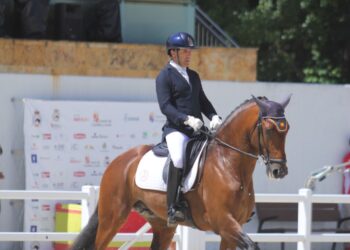 Claudio Castilla y 'Queluz D Figueiras' durante la cita./FHCYL
