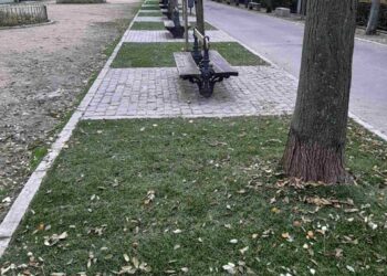 Paseo del Salón./E.A.