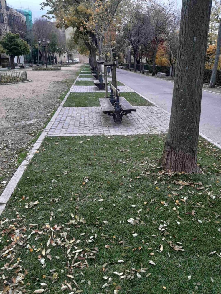 Paseo del Salón./E.A.