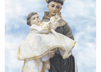 portada Navas de Oro