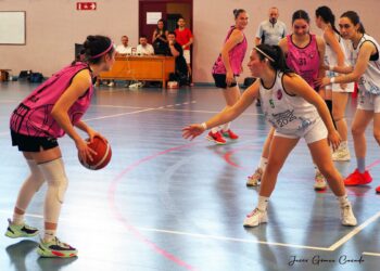 Un partido de la pasada temporada del Cochinillo Segoviano en el pabellón Emperador Teodosio./CD SPORDEPORTE