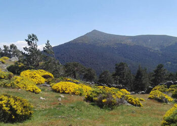 Imagen de archivo de la Sierra de Guadarrama.