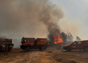 Se estima que el fuego ha afectado a más de 600 hectáreas de momento, aunque aún no se saben las cifras con certeza. / Rmestudios