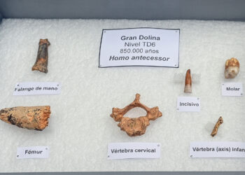 Hoy se presentó el resultado de la campaña de excavaciones de este año. / Ricardo Ordóñez