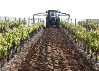 La convocatoria de inversiones en bodegas ya está resuelta, con 69 beneficiarios. / Campillo