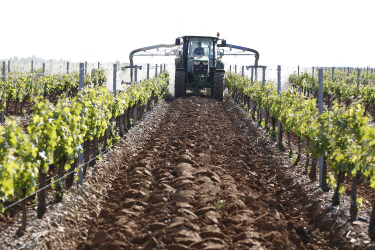 Agricultura moviliza más de 42 millones para reforzar el sector vitivinícola 1 La convocatoria de inversiones en bodegas ya está resuelta, con 69 beneficiarios. / Campillo