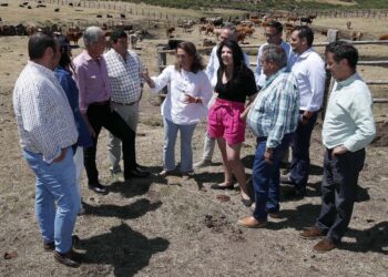 Visita a un proyecto beneficiario en 2020 y 2022 en Hoyos del Espino, Ávila. / JCYL