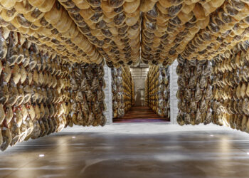 Vista de las instalaciones de Monte Nevado, casa jamonera con sede en la localidad segoviana de Carbonero el Mayor / MONTE NEVADO