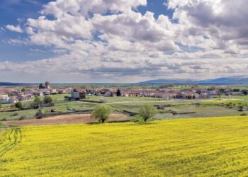 Campos de colza en primavera. Los pequeños agricultores serán los más perjudicados si sigue adelante /E.A.